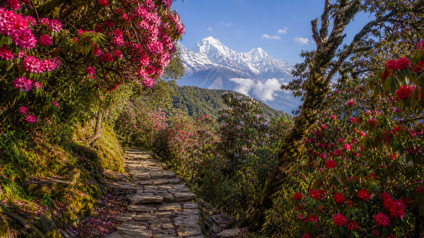 Ghorepani Poon Hill Trek redesigned image 2